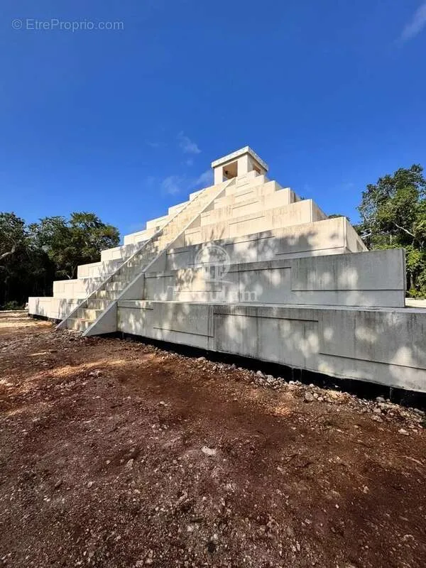 Toad - Luxury Villa with Jungle View in Riviera Maya