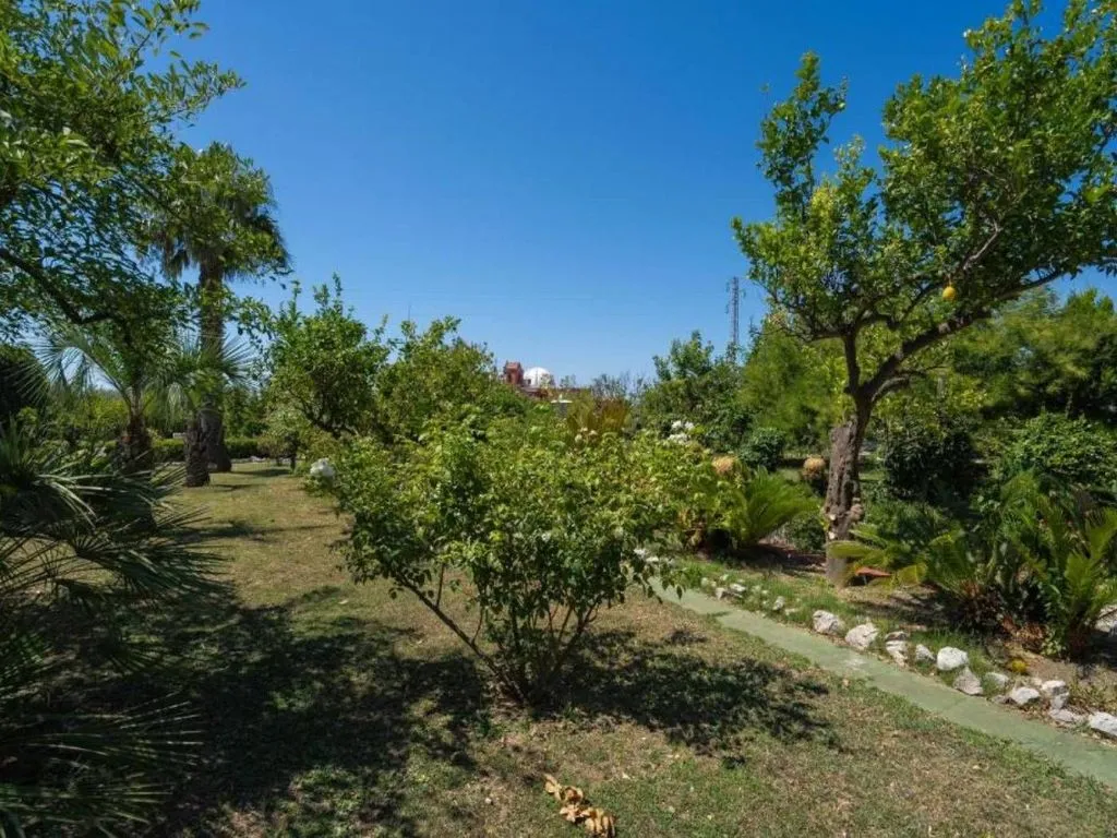 Jardin - Historic Villa with Sea View in Vico Equense