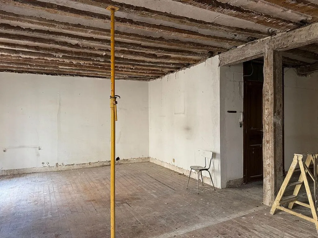 Toad - Loft with Terrace in Arrabal