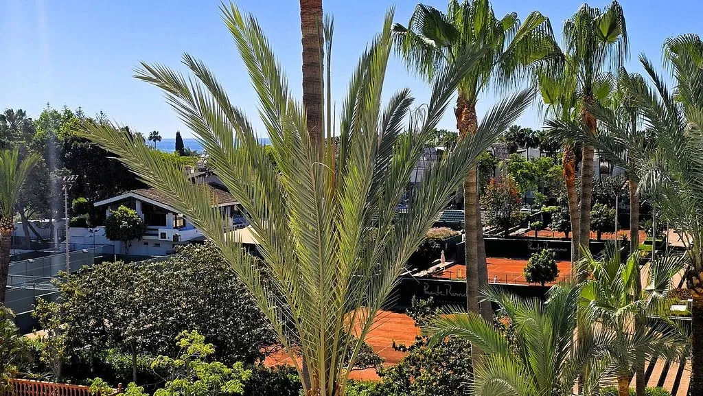 Aed - Duplex with Pool in Puente Romano, Marbella