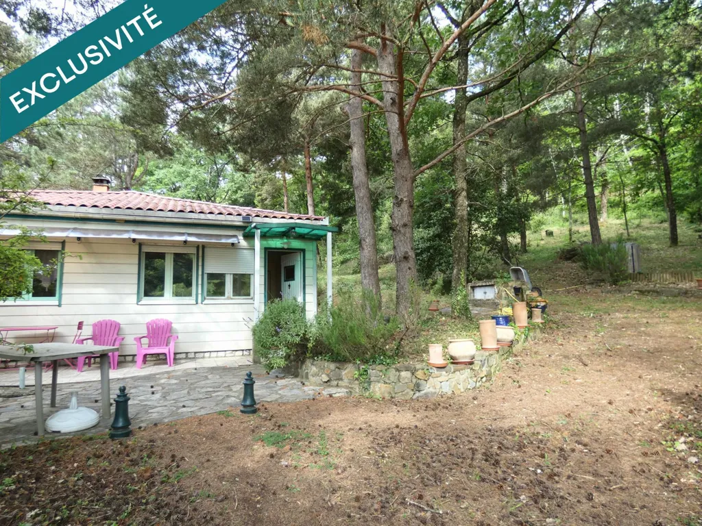 Terrasse - Maison Ossature Bois sur Terrain Arboré à Rieussec