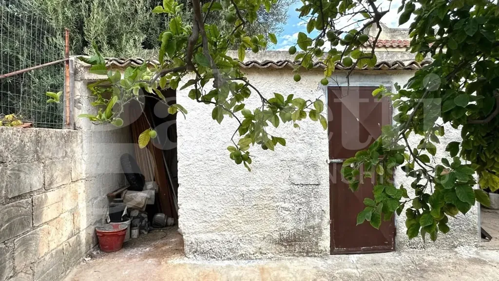Jardin - Villa with Sea View in Avola