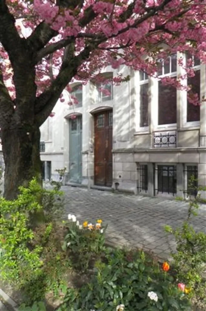 2 magamistoaga korter asukohas Brussel