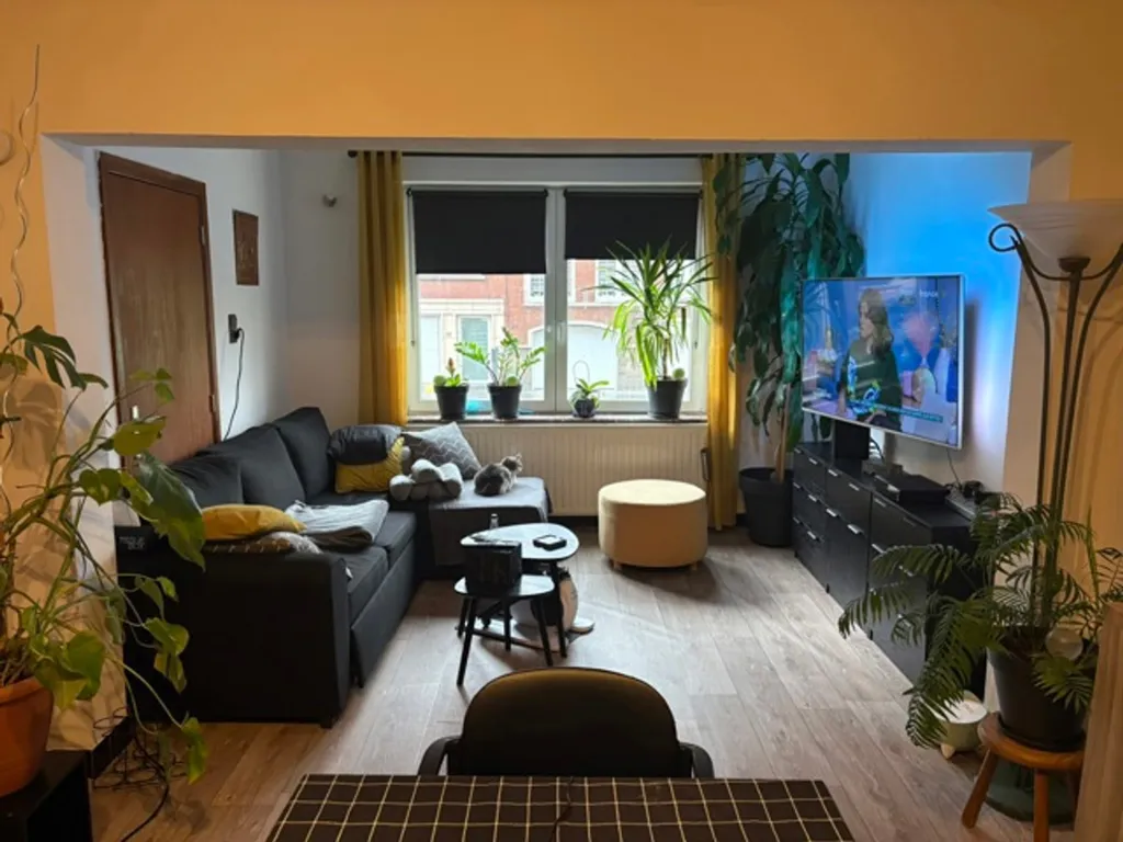 Living Room - 1-Bed Flat with Garden in Terraced Building