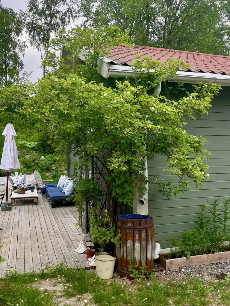 Terrasse - Converted Church with Atelier in Gnesta