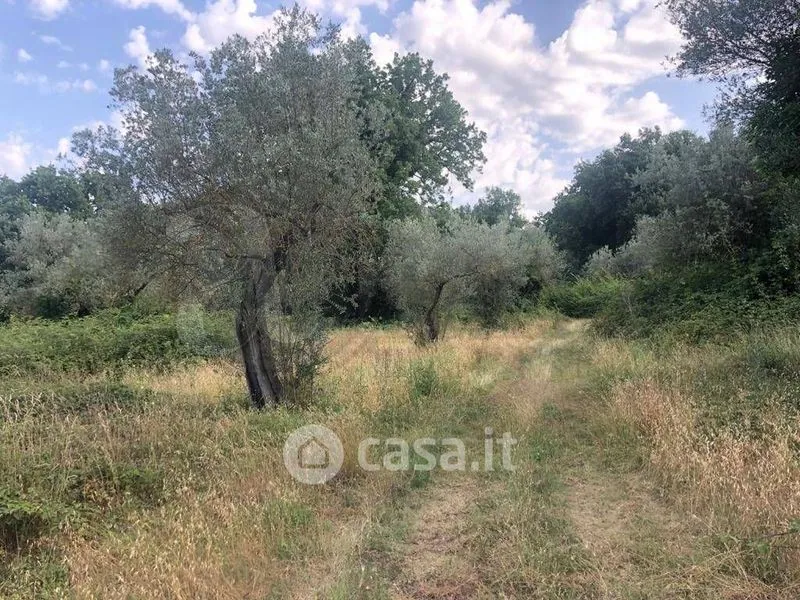 Aed - Rustic Farmhouse with 10 Hectares in Roccasecca