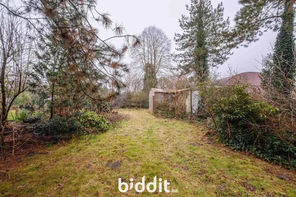 garden