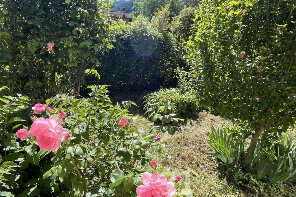 Aed - Villa with Garden and Terrace in Sospel