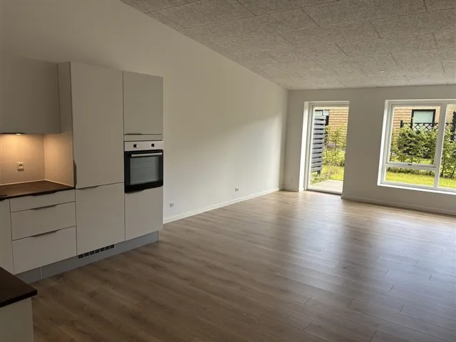 Cuisine - Contemporary Apartment with Balcony in Kolding