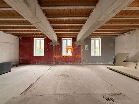Toad - Two Apartments with Terraces in Le Teil
