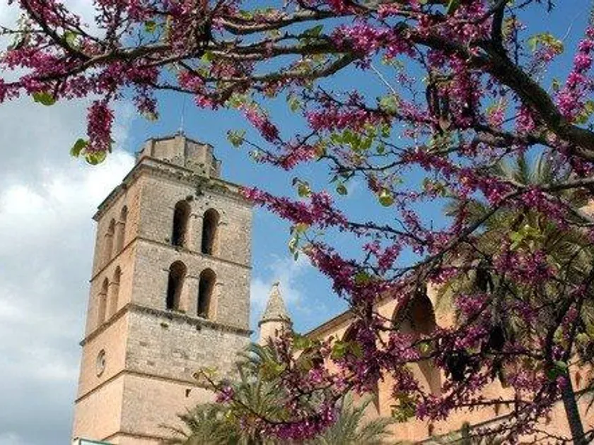 4 magamistoaga maja asukohas Balears (Illes)