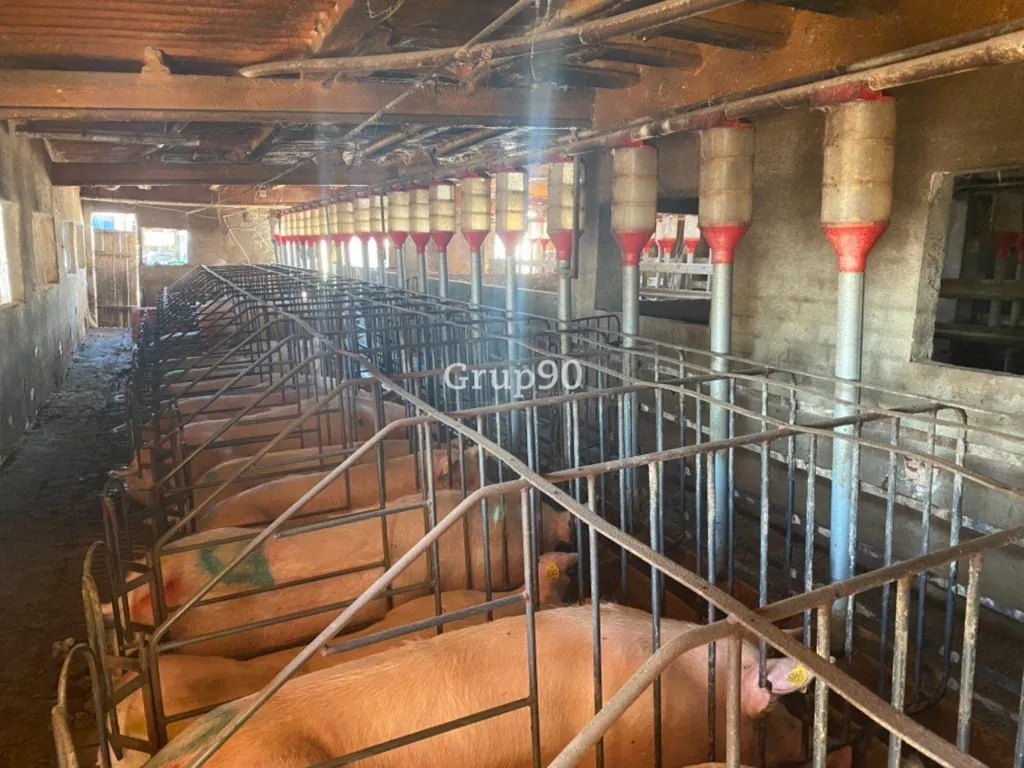 Pièces - Pig Farm with Cultivation in Cabanes