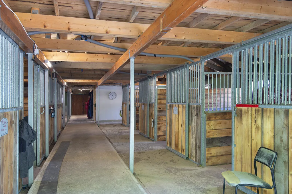 Toad - Equestrian Estate with Stables in Kolbäck