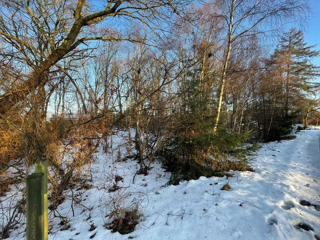 Maa asukohas Hadsund