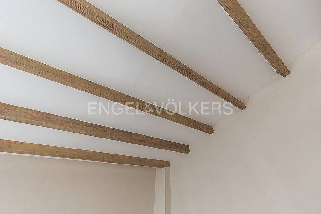 Toad - Renovated Penthouse with Terraza in La Seu
