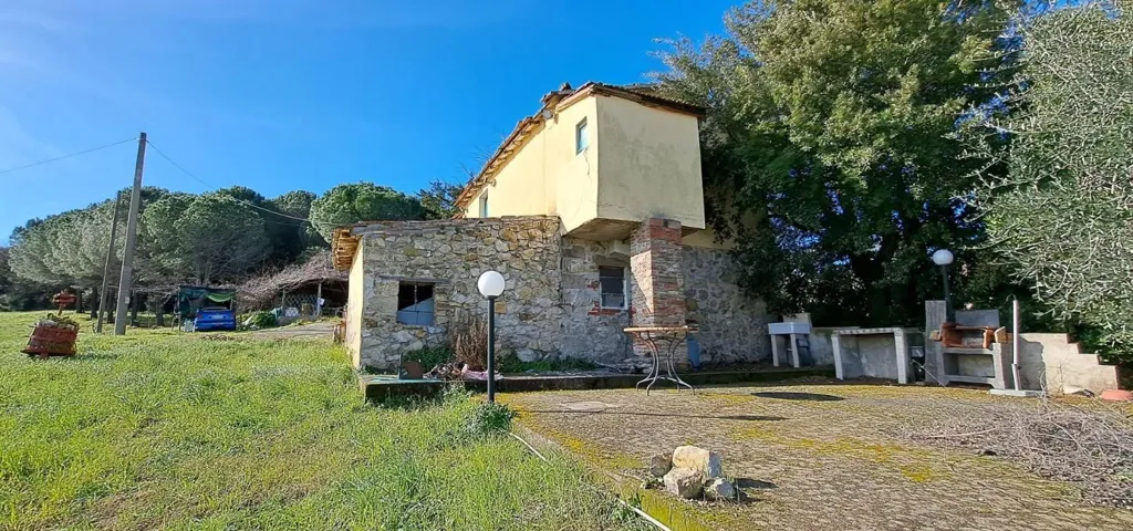 Rustic House with Olive Grove in Rosignano Marittimo