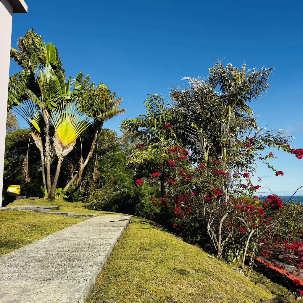 Jardin - Appartement T3 avec Vue Mer à Trois-Îlets