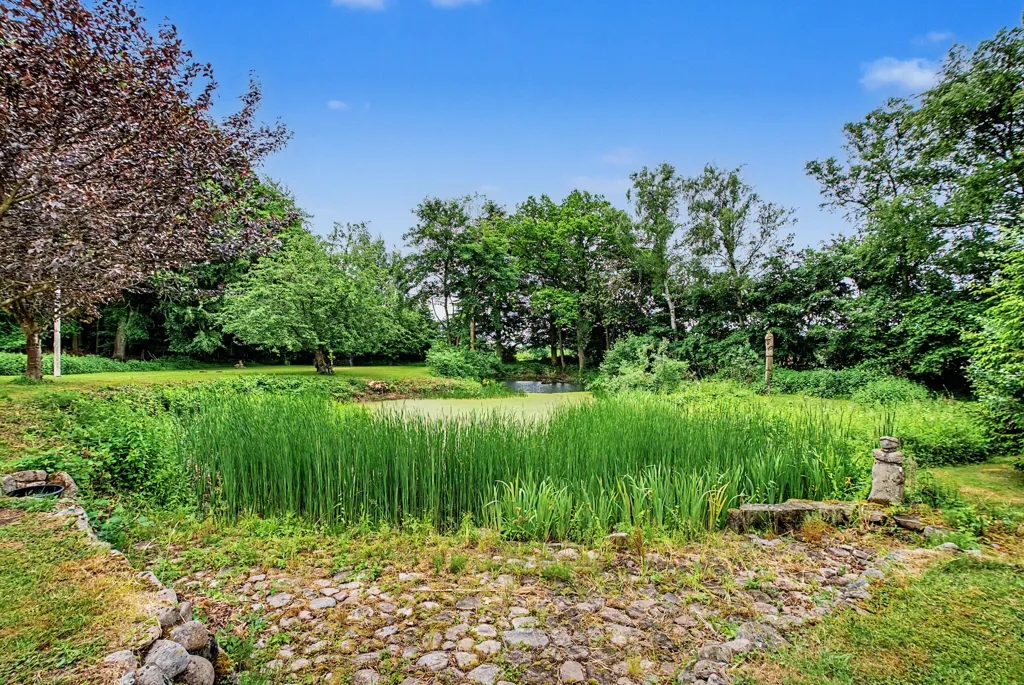 Garden - Villa with Forest View in Faaborg