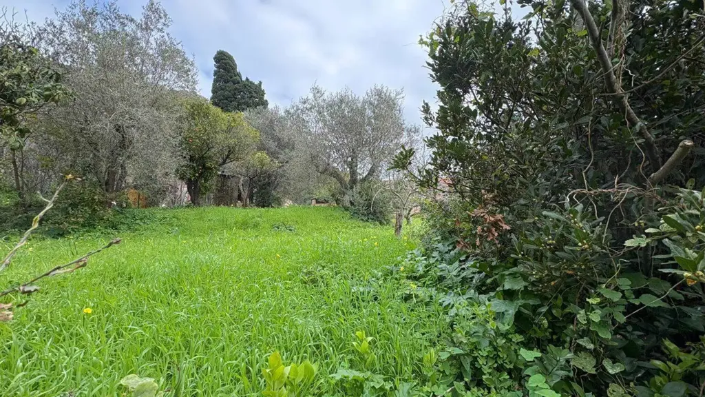 Aed - Independent House with Garden in Messina