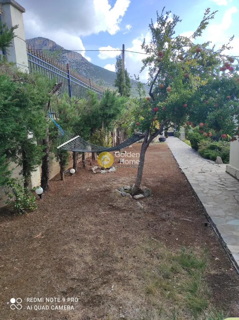 Jardin - Luxury Villa with Garden in Hymettus, Boeotia