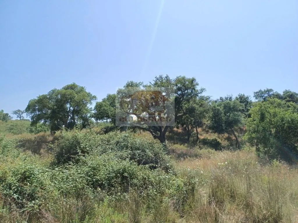 Garden - Development Land with Mountain Views in Grândola