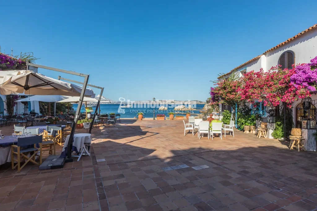 Terrace - Beachfront Villa with Pool in Porto Rafael