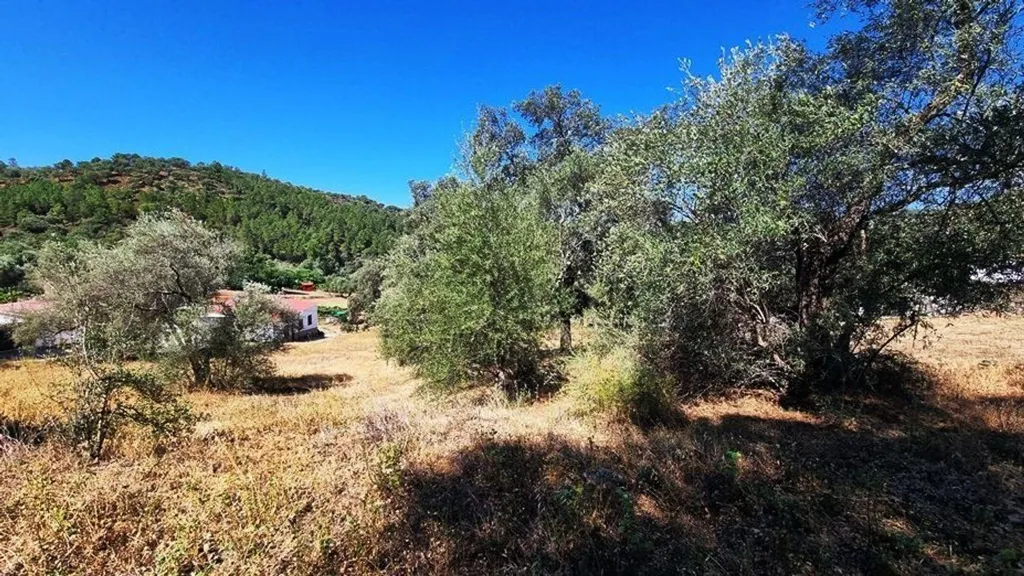 Jardin - Urban Plot with Countryside Views in Santa Ana la Real