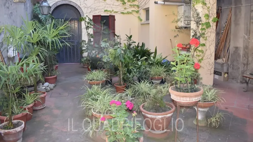 Jardin - Terraced Villa with Courtyard in Cesena