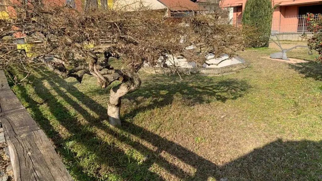 Garden - Villa with Garden near Vigevano