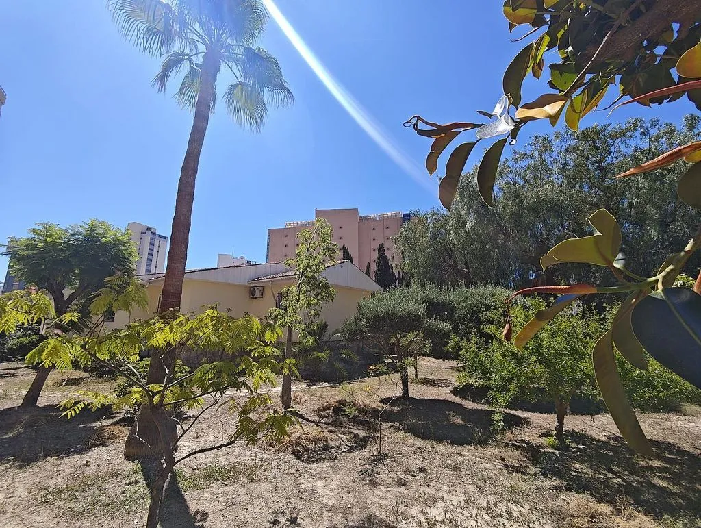 Garden - Chalet with Terrace in Foietes, Benidorm