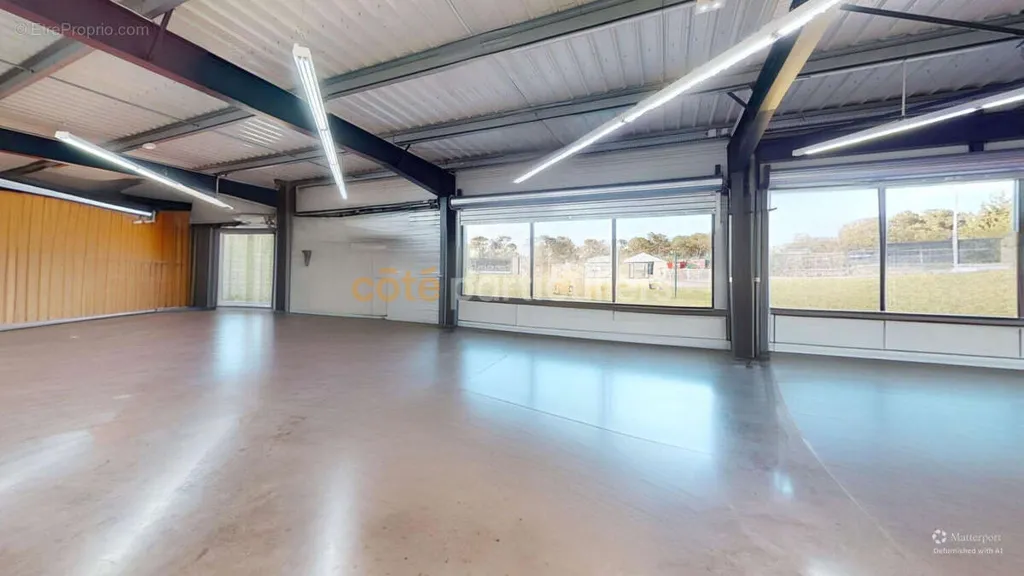 Toad - Commercial Building with High Visibility on Busy Road