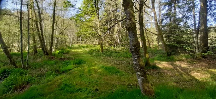 Jardin - Terrain avec Étangs Vidangeables et Maison à Épinal