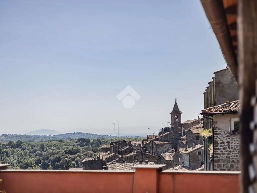 Terrass - Rustic Attico with Balcony in Capranica