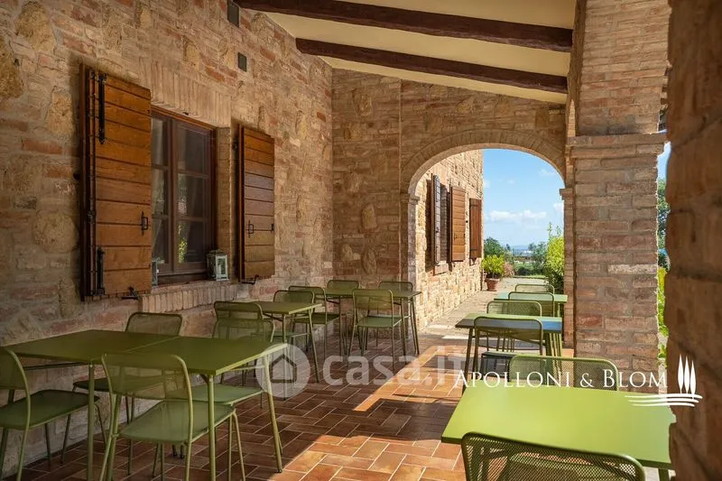 Terrasse - Rustic Farmhouse with Pool in Montepulciano