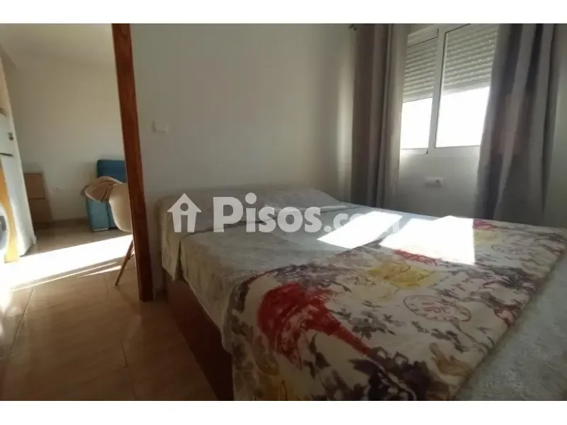 Magamistoad - Apartment with Pool in Centre