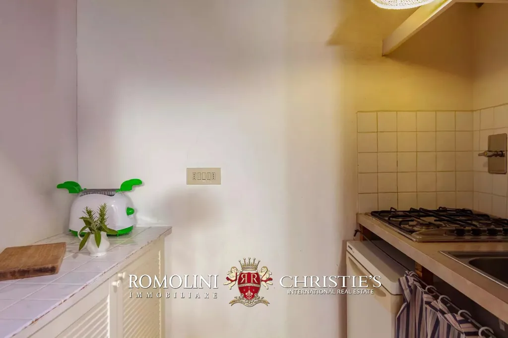 Kitchen - Villa with Vineyard and Pool near Florence