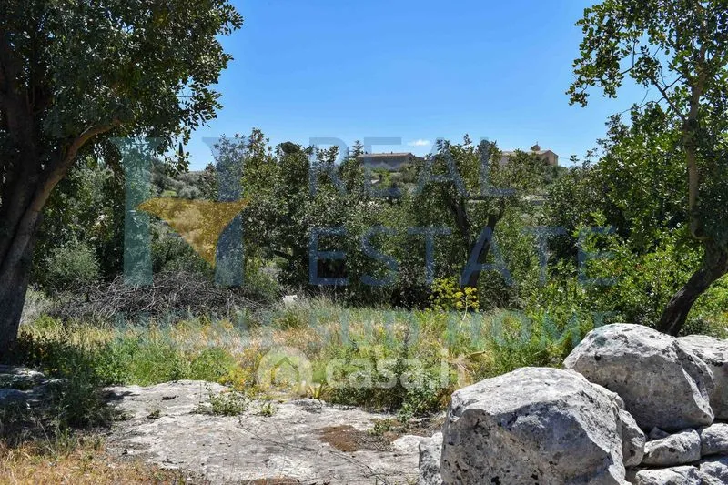Garden - Rustic Cottage with Olive Grove in Modica