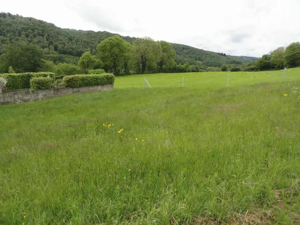 Jardin - Terrain à Bâtir Calme avec Vue sur la Vallée de la Vesdre