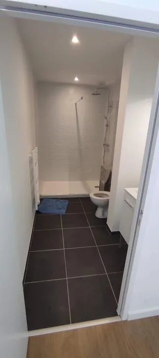Salles de bain - Appartement Meublé T2 à Angers