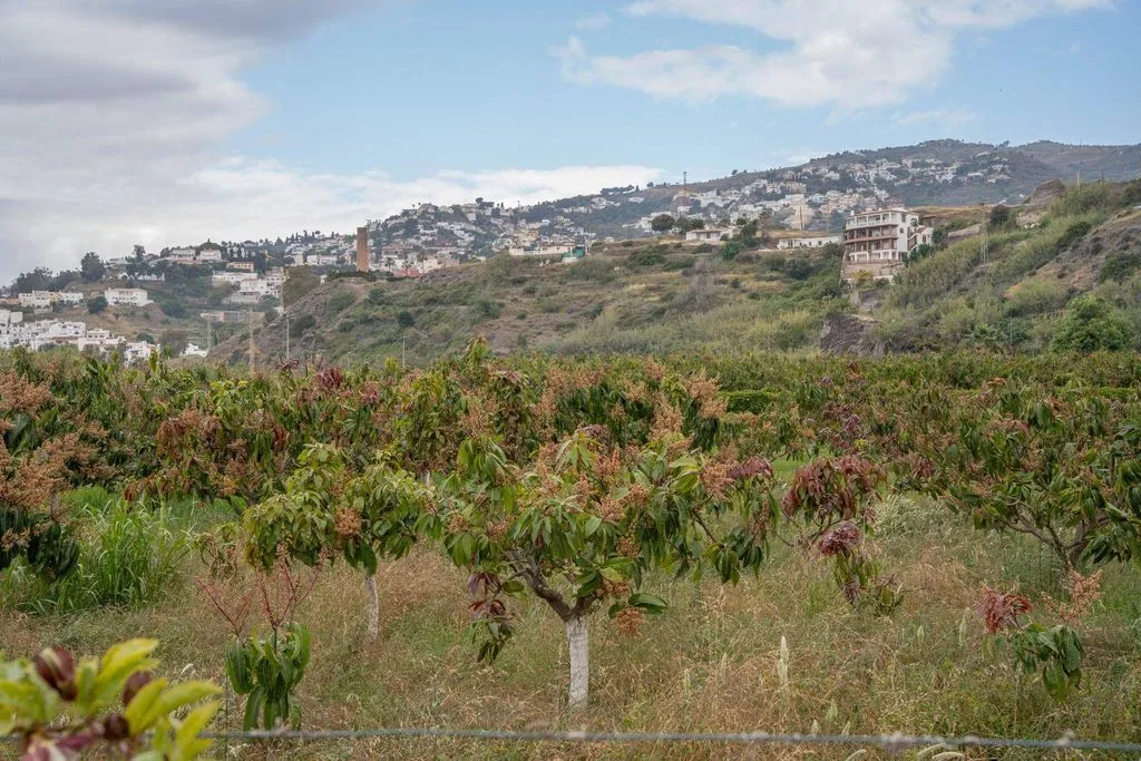 Aed - Development Land with Sea View in Salobreña
