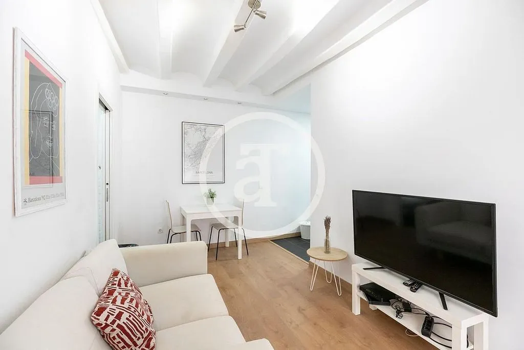 Séjour - Furnished Flat with Catalan Vault in Barcelona