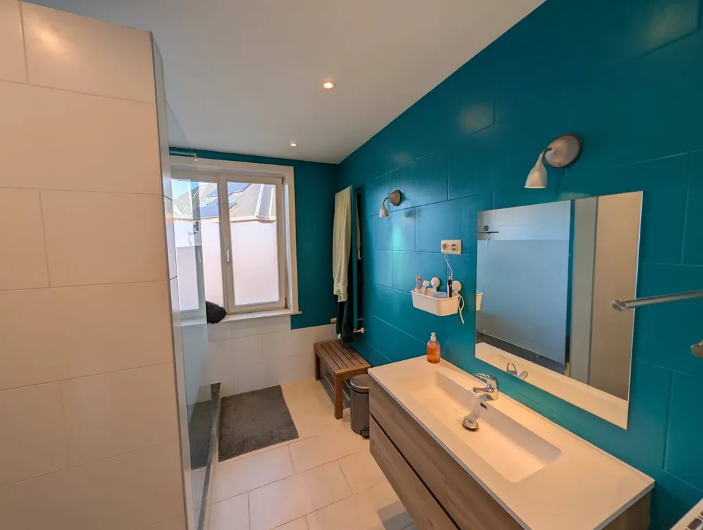 Vannitoad - Family House with Garden in Nivelles