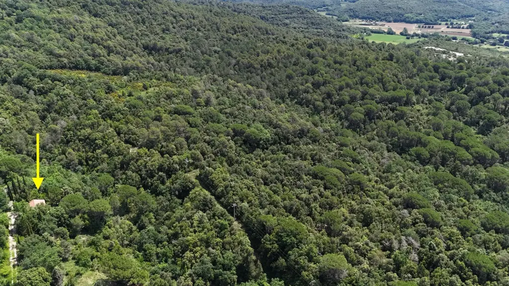 Õhuvaade - Chalet with Private Forest in Sant Aniol de Finestres