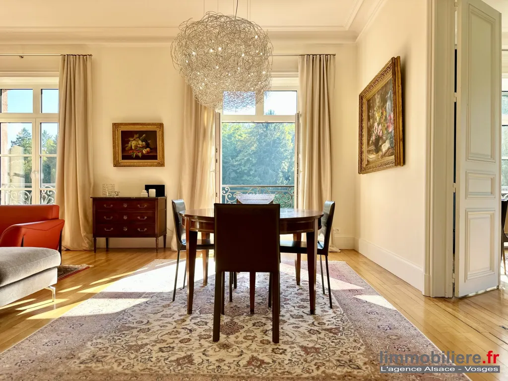 Soggiorno - Luxury Flat with Park Views in Saint-Dié-des-Vosges