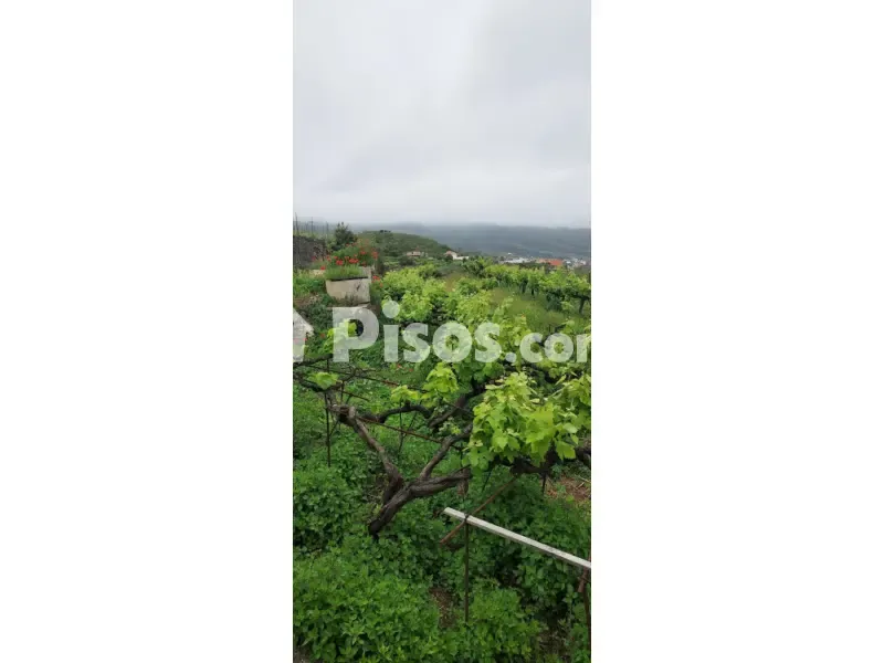 Aed - Rustic Farmhouse with Bodega near Calle Real