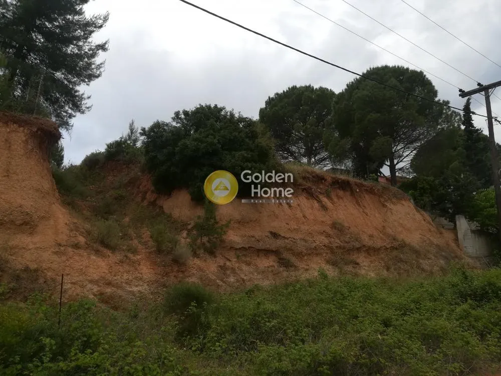 Aed - Buildable Plot with Sea View in Theologos