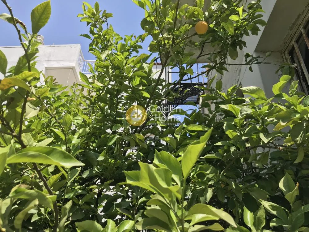 Aed - Plot for Development with Central Location in Menidi