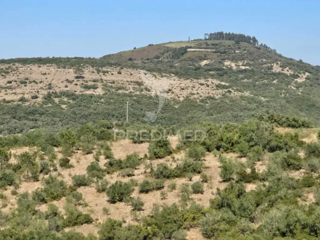 Jardin - Rustic Land with Approved Project in Mafra