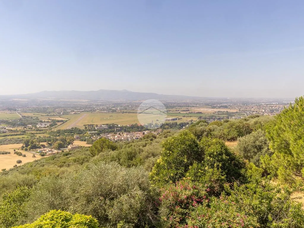 Jardin - Versatile Villa with Olive Grove in Guidonia Montecelio