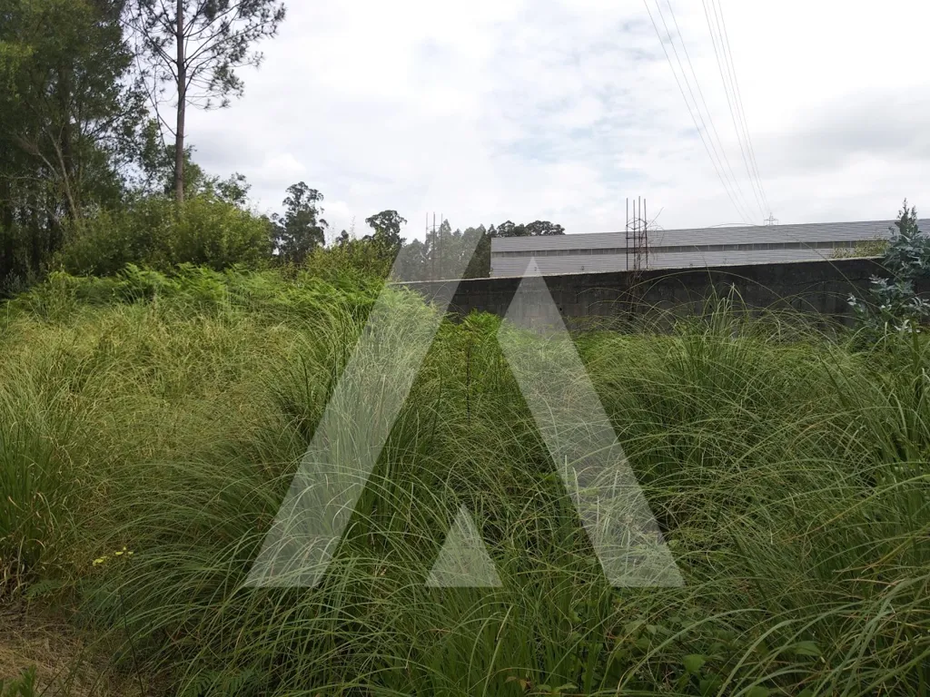 Garden - Approved Industrial Plot in Loureiro, Oliveira de Azeméis